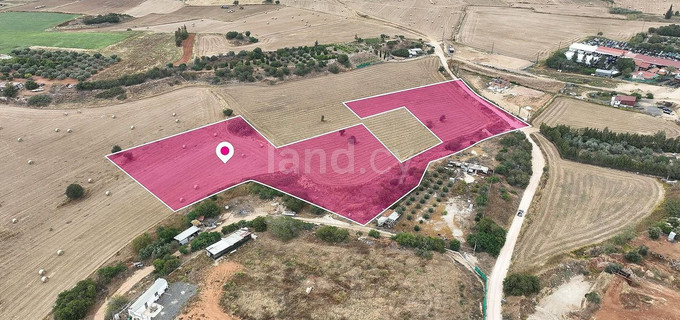 Jordbruksfält till salu i Avgorou