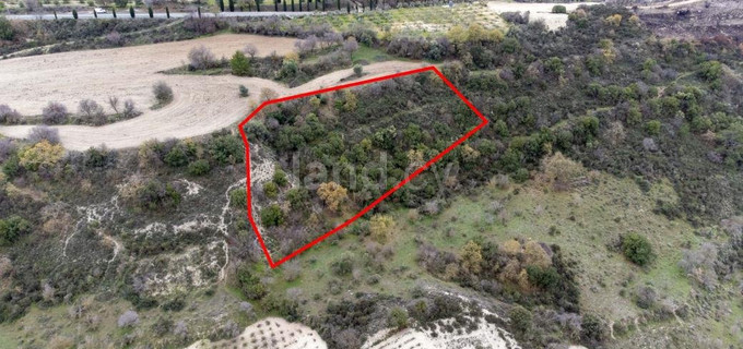 Landwirtschaftliches Baugebiet in Paphos zu verkaufen