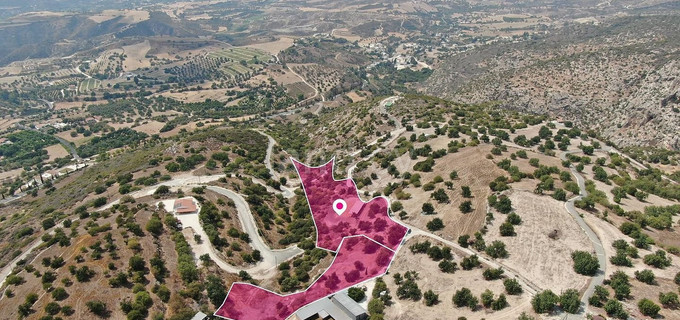 Αγροτεμάχιο προς πώληση - Πάφος