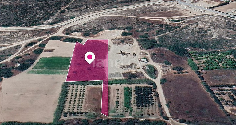 Field for sale in Limassol
