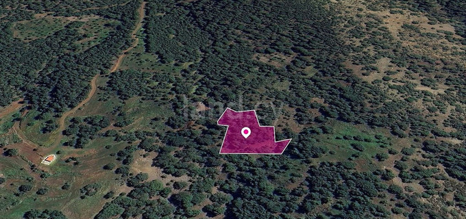 Field for sale in Paphos