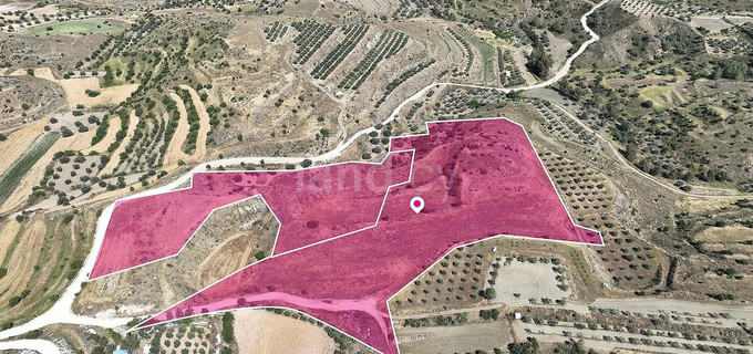 Pole rolne na sprzedaż w Nicosia