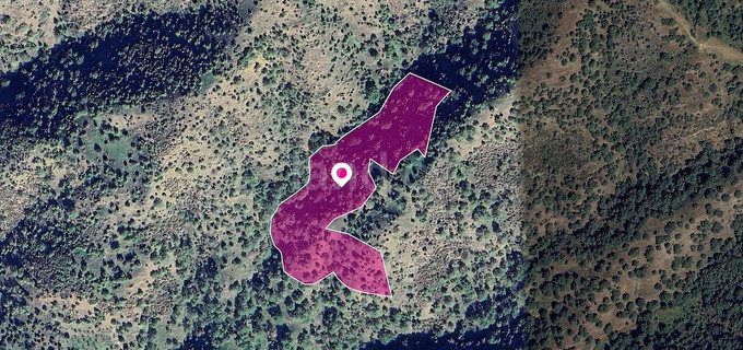 Field for sale in Paphos
