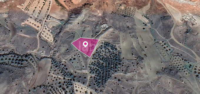 Pole rolne na sprzedaż w Nicosia