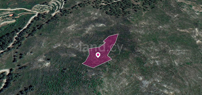 Landwirtschaftliches Baugebiet in Limassol zu verkaufen