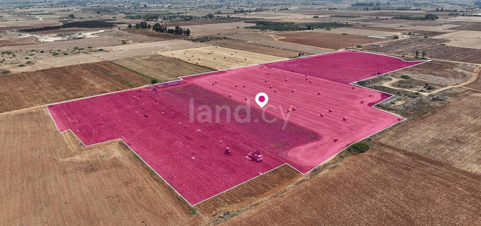 Jordbruksfält till salu i Avgorou