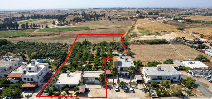 Jordbruksfält till salu i Deryneia