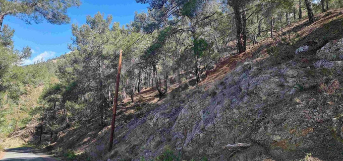 Участок на продажу в Лимассол