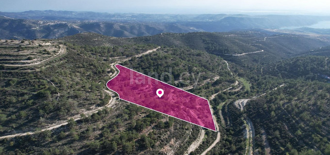 Agricultural field for sale in Limassol