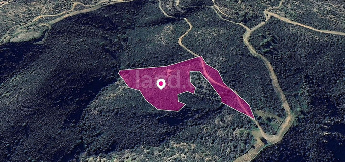 Αγροτεμάχιο προς πώληση - Λάρνακα