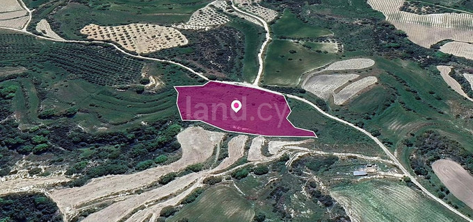 Agricultural field for sale in Paphos