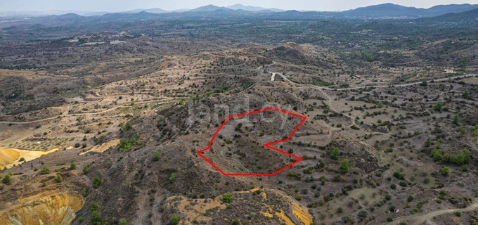 Agricultural field for sale in Nicosia