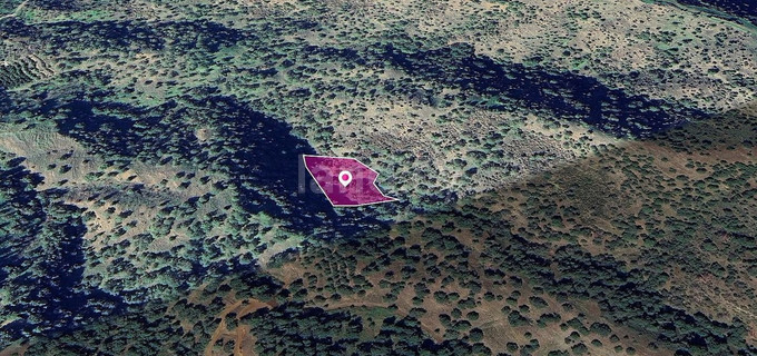 Field for sale in Paphos