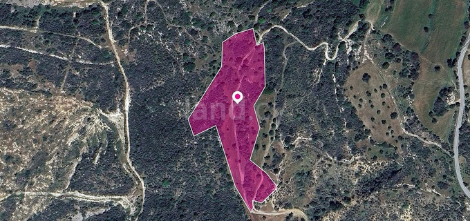 Terrain à vendre à Paphos