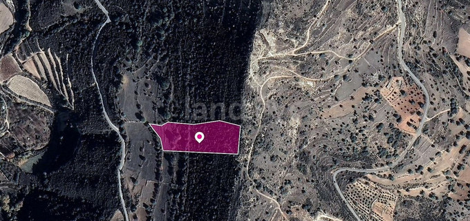 Jordbruksfält till salu i Limassol