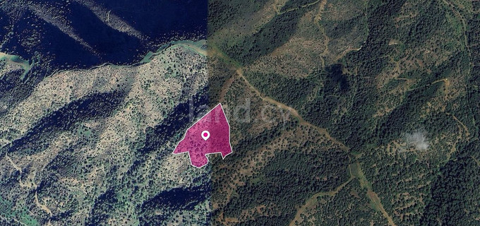 Field for sale in Paphos
