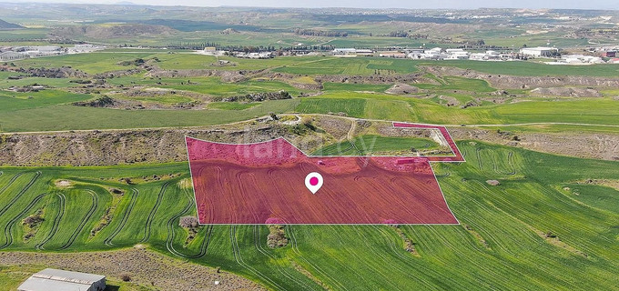 Agricultural field for sale in Nicosia