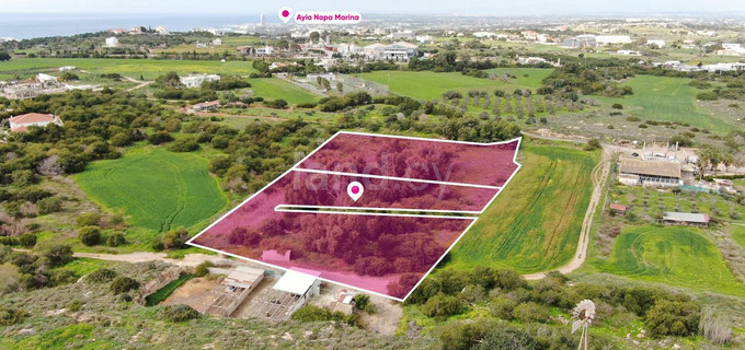 Pole rolne na sprzedaż w Paralimni