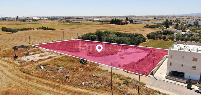 Field for sale in Nicosia