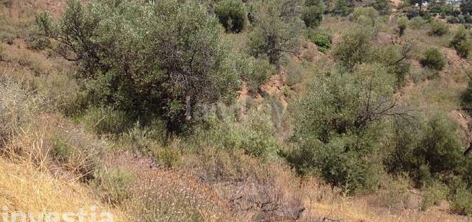 Campo a la venta en Larnaca