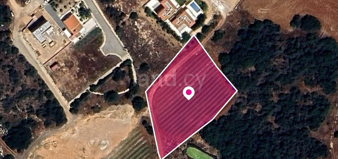 Pole na sprzedaż w Paralimni