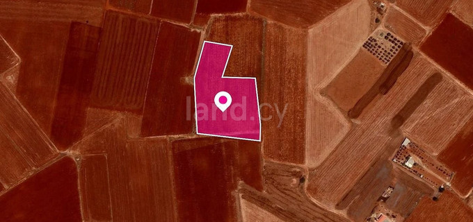 Jordbruksfält till salu i Achna