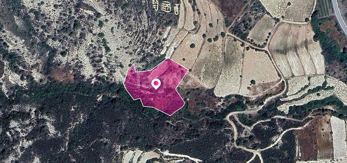 Field for sale in Limassol