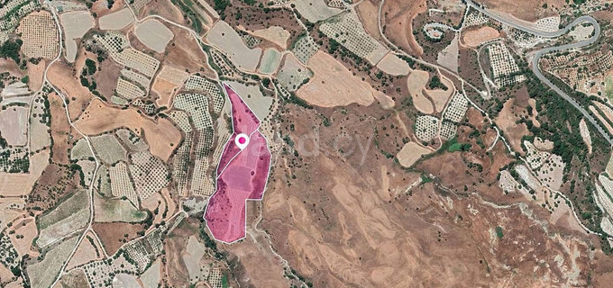 Agricultural field for sale in Paphos