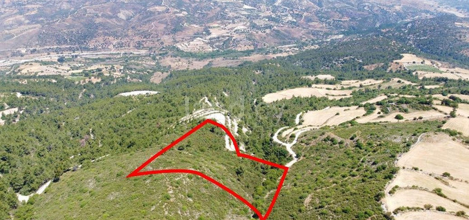 Agricultural field for sale in Paphos