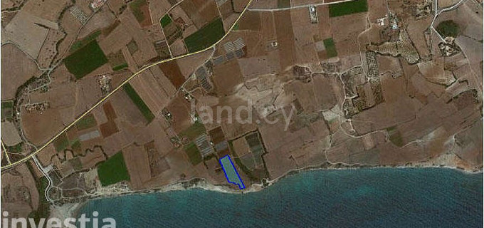 Parcelle agricole à vendre à Larnaca