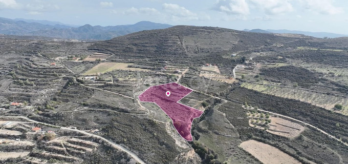 Agricultural field for sale in Limassol