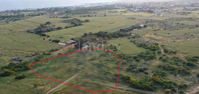 Jordbruksfält till salu i Paralimni