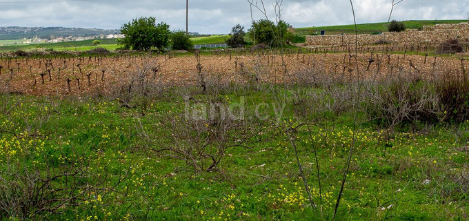Pole turystyczne na sprzedaż w Paphos