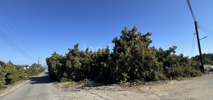 Residential plot for sale in Paphos