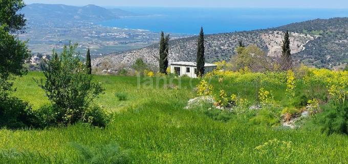 Residential field for sale in Paphos