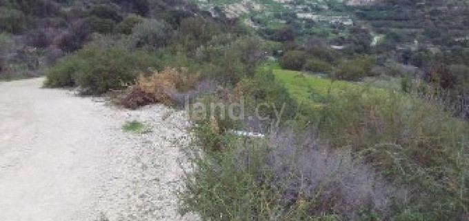 Terrain agricole à vendre à Paphos
