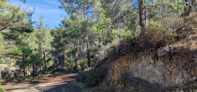 Agricultural field for sale in Limassol