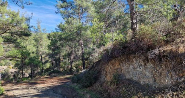 Agricultural field for sale in Limassol