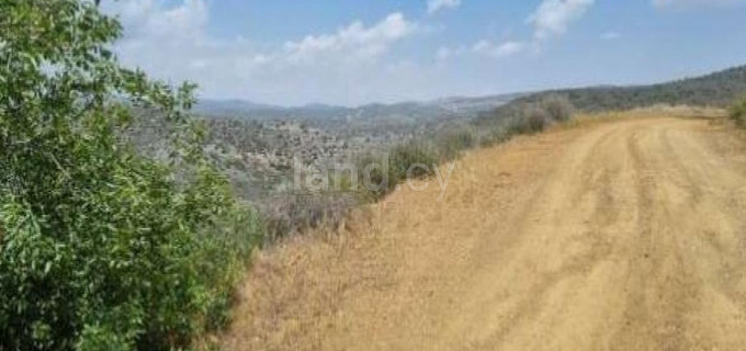 Campo agrícola a la venta en Limassol