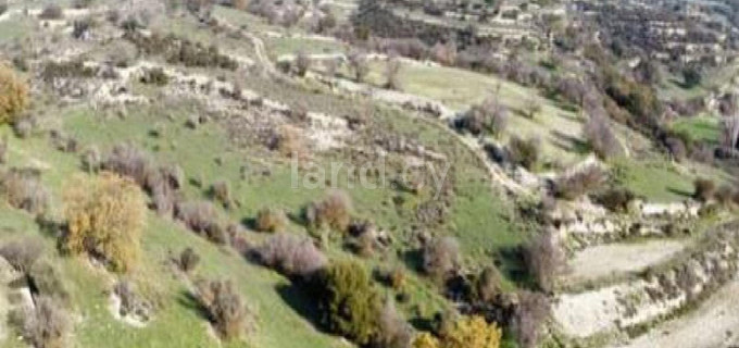 Campo agrícola a la venta en Limassol