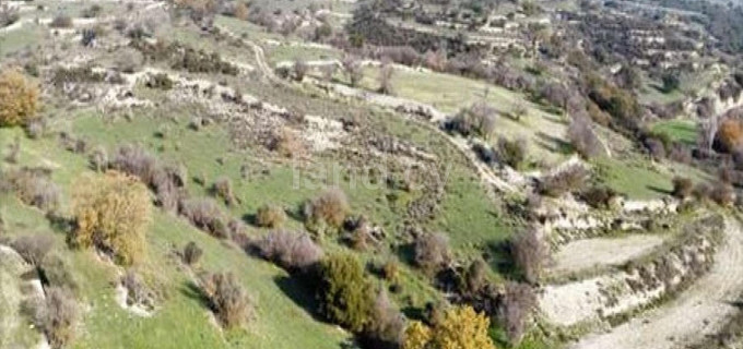 Agricultural field for sale in Limassol