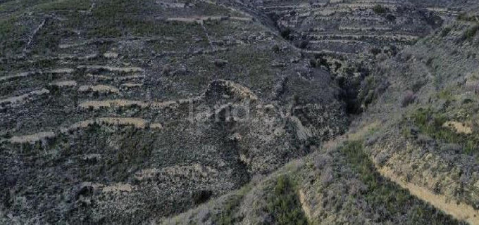Agricultural field for sale in Limassol