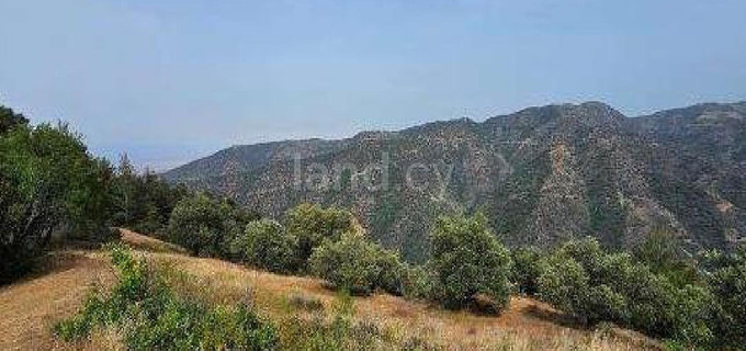 Agricultural field for sale in Nicosia