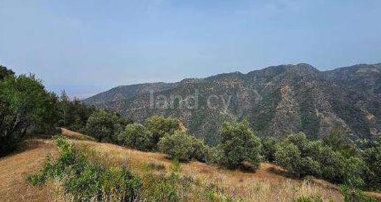 Agricultural field for sale in Nicosia