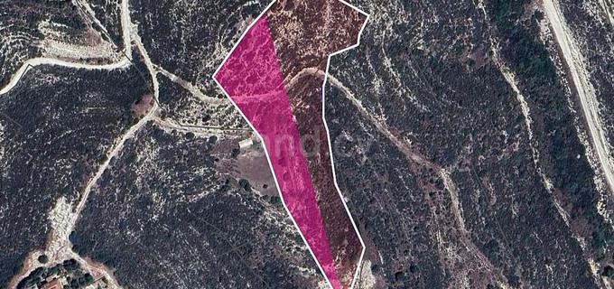 Field for sale in Limassol