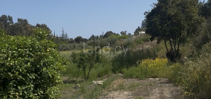 Residential plot for sale in Limassol
