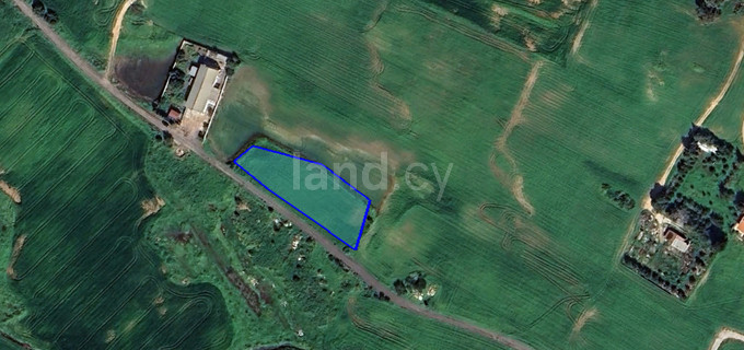 Residential field for sale in Paralimni