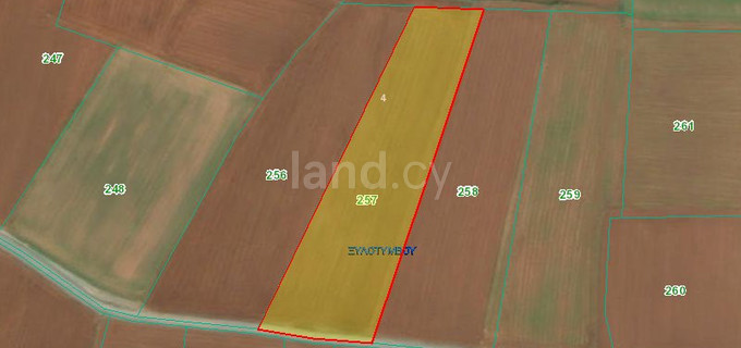 Agricultural field for sale in Larnaca