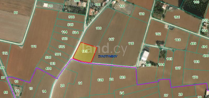 Agricultural field for sale in Larnaca