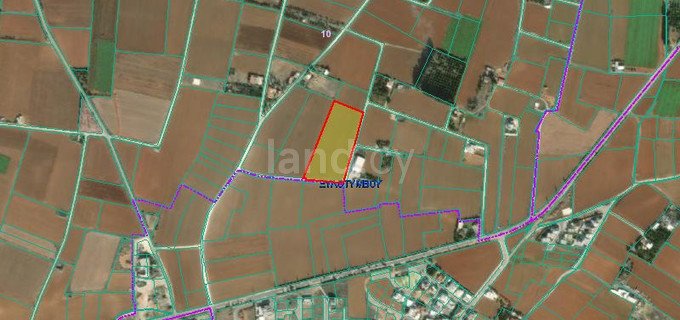 Agricultural field for sale in Larnaca